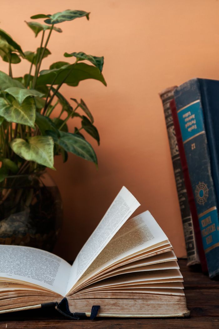 Open book on a wooden table with a plant and books, evoking knowledge and calmness.