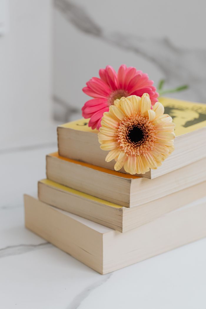 social-feed-img-02 Aesthetic arrangement of colorful gerbera daisies on a stack of books in a studio setting.
