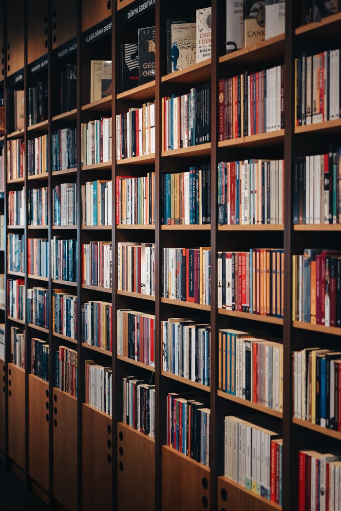 social-feed-img-01 Vertical shot of wooden bookshelves in a cozy bookstore, showcasing a diverse range of books indoors.